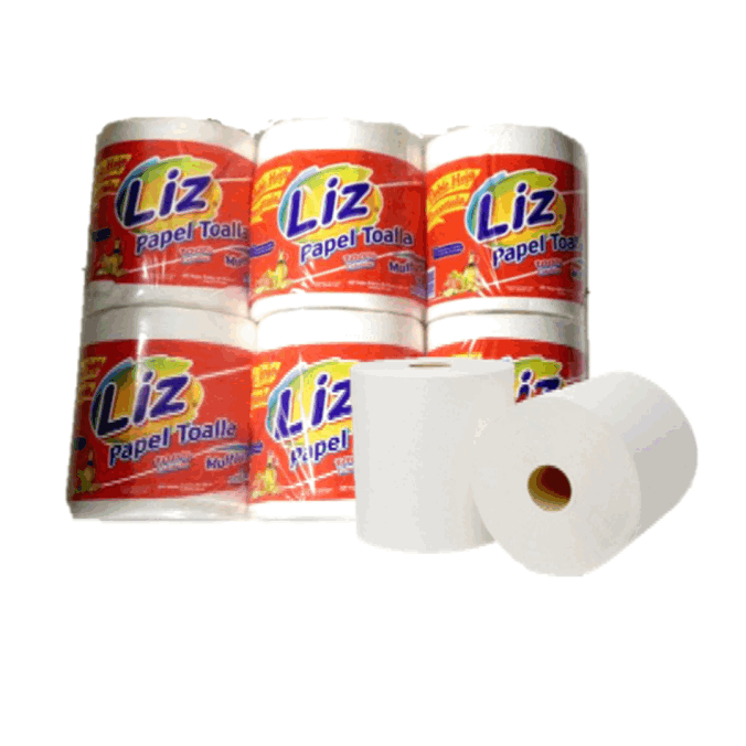 Papel Toalla Liz Precortado x6u